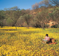 Miners Camp at Coalseam National Park - Hotel WA