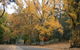 Wilderness Retreats Buchan Caves Reserve - thumb 9