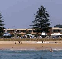 Beachfront Voyager Motor Inn