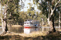 Mildura Plaza Motor Inn - Hotel WA 4