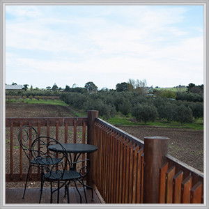 Wine Diva Tours - Hotel WA 9