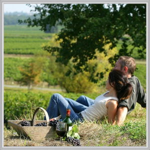 Wine Diva Tours - Hotel WA 14