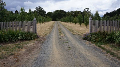 Oakhill Cottage - Hotel WA 7