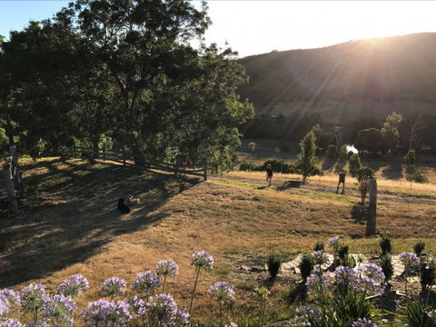 Shearer's Hill - Luxury Farm Stay - Hotel WA 9