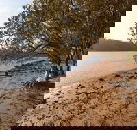 Beach campground - Hotel WA