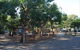 Burnside Camp - thumb 5