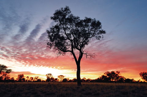 Cunnamulla Tourist Park - Hotel WA 3