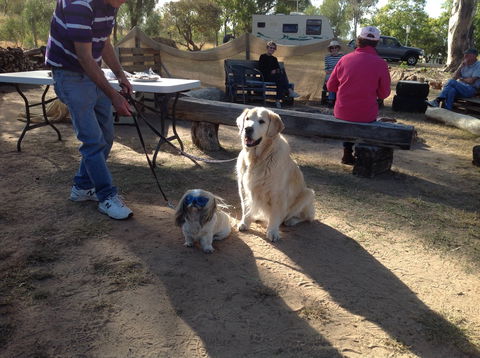 Cunnamulla Tourist Park - Hotel WA 4