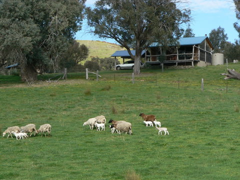 Gaddleen Grove Cottages - Hotel WA 0