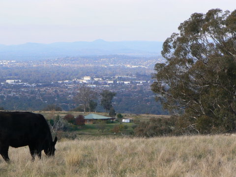 Gaddleen Grove Cottages - Hotel WA 8