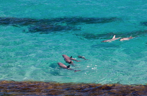 Headland On Kangaroo Beach - Hotel WA 8