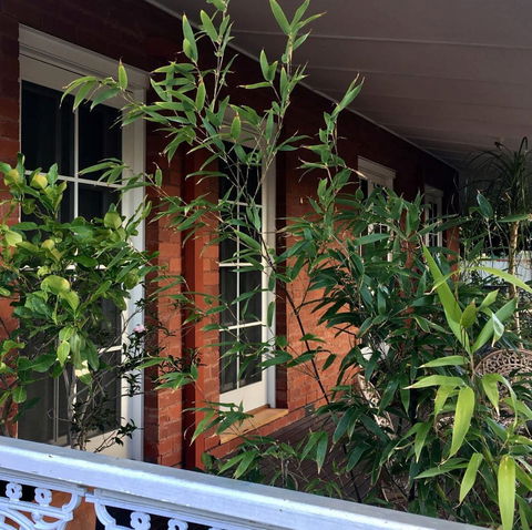 Heathcote Contemporary Art Boutique Accommodation - Hotel WA 6