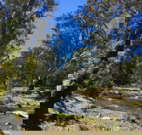 Highfield Farm and Woodland Bush Campsites - Hotel WA