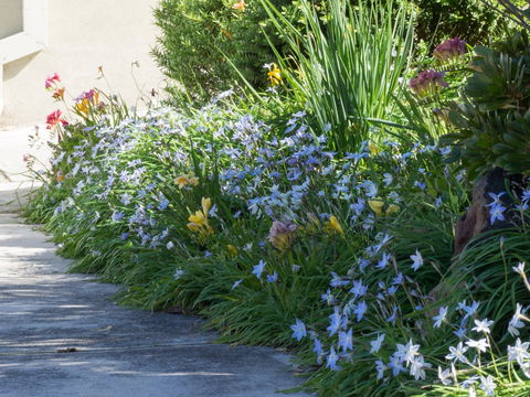 Austin Rise B&B - Hotel WA 2