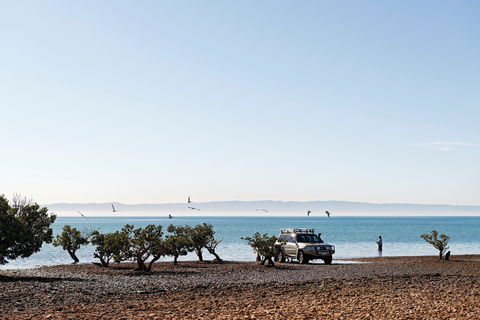 Camping At Point Lowly & Fitzgerald Bay - Hotel WA 0
