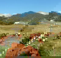 Farringdon Homestead - Hotel WA