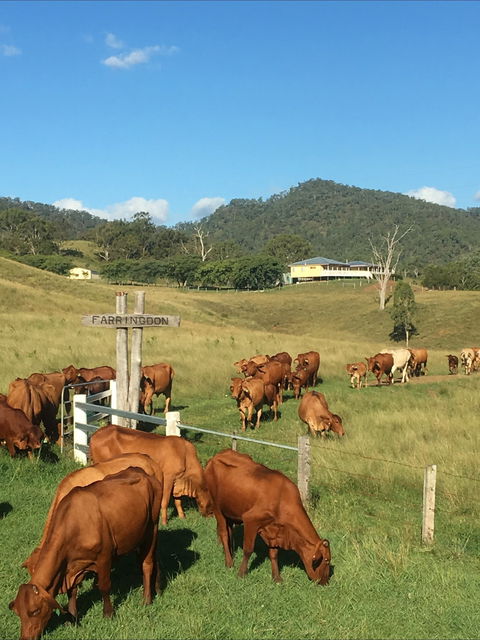 Farringdon Homestead - Hotel WA 0