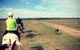 Susan River Homestead - thumb 2