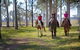 Susan River Homestead - thumb 9