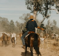 Bullo River Station - Hotel WA