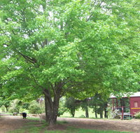 Hill End Holiday Ranch