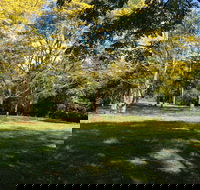 Scenic Rim Adventure Park - Hotel WA