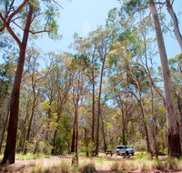 Coolah Tops National Park Camping