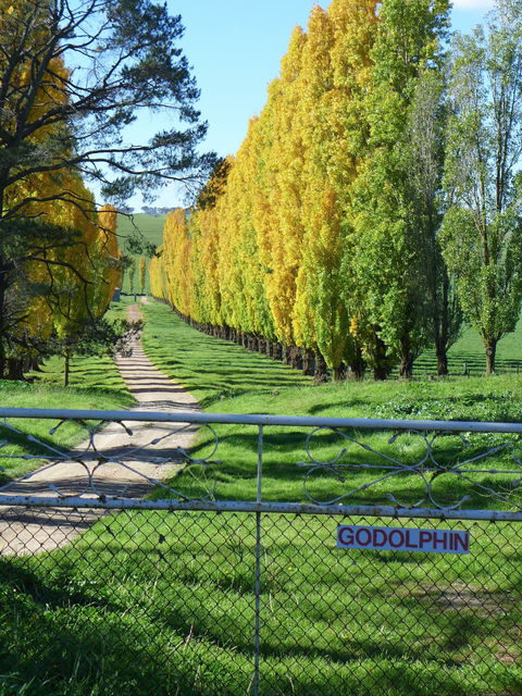 Godolphin Country Accommodation - Hotel WA 1