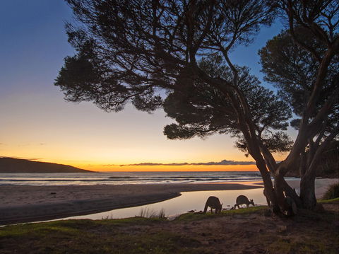 Merry Beach Caravan Park - Hotel WA 1