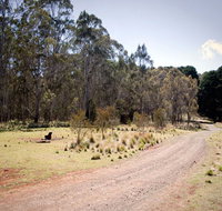 The Pines campground