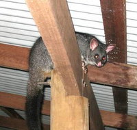 Warren River Resort - Hotel WA