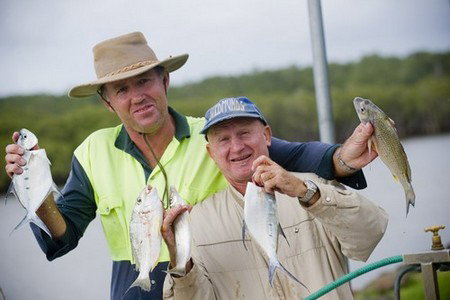 Terrace Reserve Holiday Park - Hotel WA 1