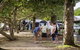Massey Greene Holiday Park - thumb 5