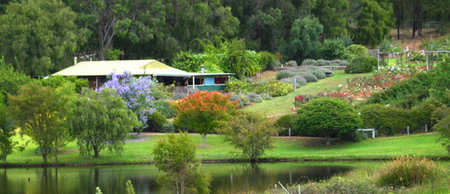 Pemberton Lavender And Berry Farm Cafe And Cottages - Hotel WA 0