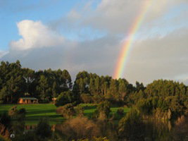 Pemberton Lavender And Berry Farm Cafe And Cottages - Hotel WA 3