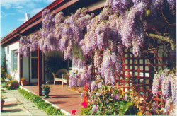 Woodchester Bed And Breakfast - Hotel WA 1