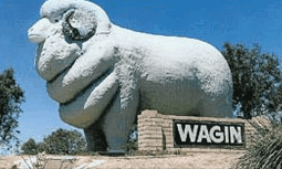 Dongolocking WA Hotel WA