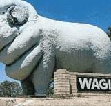 Wagin Motel - Hotel WA