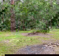 Blue Gum Flat campground - Hotel WA
