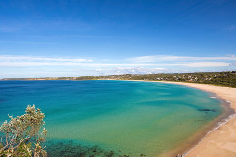 Footsteps To Mollymook Beach - Hotel WA 2