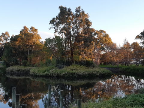 McLaren Vale Lakeside Caravan Park - Hotel WA 1