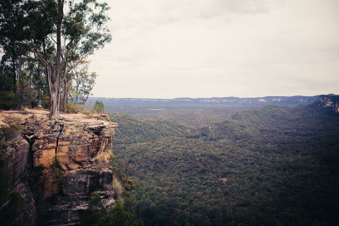 Sandstone Park Carnarvon Gorge - Hotel WA 1