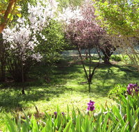 Sofala Cottage - Hotel WA