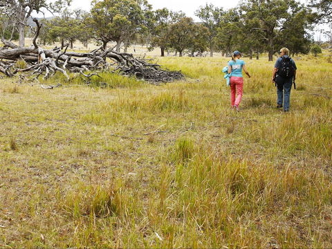 Sundown National Park Camping - Hotel WA 2