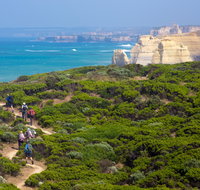 Twelve Apostles Lodge Walk