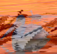 4 Pelican Court - River Shack Rentals - Hotel WA