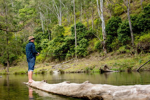 Bass Lodge - Hotel WA 0