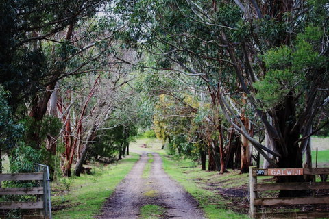 Galwiji Homestead - Hotel WA 1