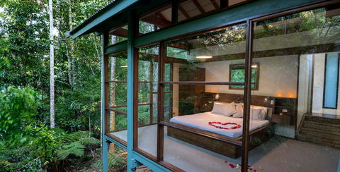 Crystal Creek Rainforest Retreat - Hotel WA 2