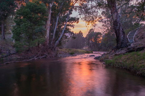 Riverdowns - Hotel WA 1